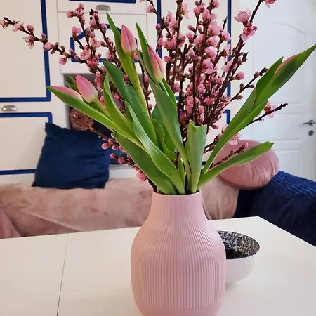 Vintage In The Centre Old Town Apartman