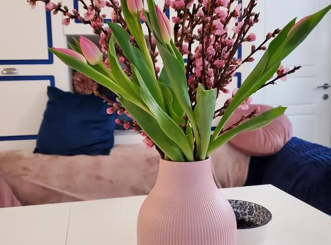 Vintage In The Centre Old Town Apartamento